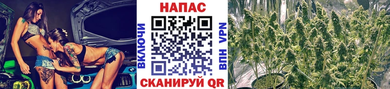 Псилоцибиновые грибы Касли