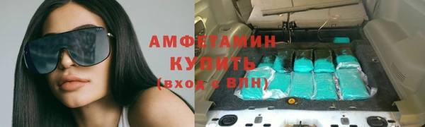 метадон Богданович