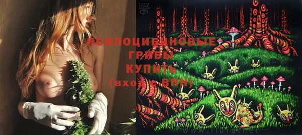 PSILOCYBIN Сафоново