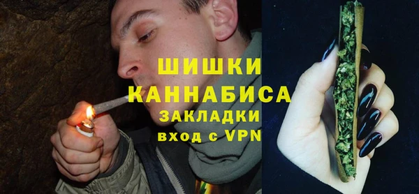 PSILOCYBIN Белокуриха
